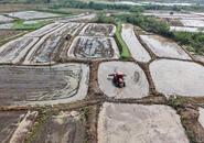 安徽巢湖：谷雨時節農事忙