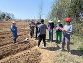 宜秀區羅嶺鎮羅嶺社區：黨建引領 筑牢森林防火安全屏障