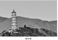 李星涛：避光的日子