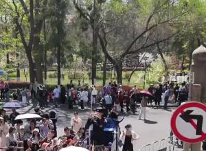 鸡鸣寺樱花代拍民警小姐姐火了！“你拍花，我们拍你！”这是游客手机中最动人的春日景色