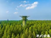 2025年全国重点媒体盐城行｜盐城：绿色共富，持续释放生态红利