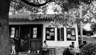 凌泽泉：黄金时代