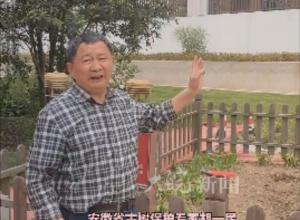 古树专家谈“李鸿章白玉兰” 
保护好可再存活50年以上