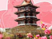 運(yùn)河飛花令第三季·河北滄州篇
