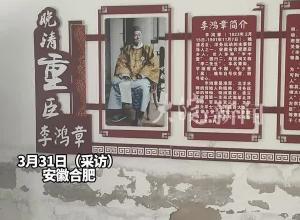 “李鸿章白玉兰”长势堪忧 居民：希望重新焕发生机 回应：正照专家意见修复保护