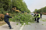 加強路政巡查，守護公路暢通