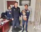 ﻿霍山警民携手救助2只国家“三有”保护动物黄麂