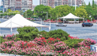 阜陽路暢景美入畫來