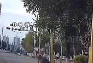 全網(wǎng)尋找這位最美空姐！ 外賣小哥摔倒 路過空姐舉動暖心！ 瘦小的她幫忙扶起車子 撿起掉落的東西 網(wǎng)友：真正的人美心善，必須點贊！