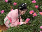 芍花贊（朗誦詩）—— 致五月的花神