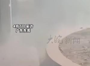 东莞一学校跳蚤叮咬学生续 当地回应：消杀工作已结束 还会持续监测关注