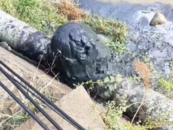 山西呂梁一地被曝污水直排黃河支流 部門回應：不是工業廢水