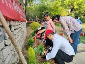 共植“责任花海”｜芜湖市弋江区橡绿园社区花景墙点亮治理新景幕  