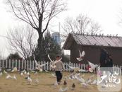 中東部將現大范圍20℃，局地或沖30℃！北方大風頻擾注意防火
