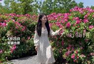 合肥駱崗公園變身花海 月季、杜鵑、月見草盛放 晴好天氣打卡市民眾多