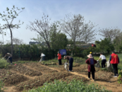 懷寧縣高河鎮新山社區：整治環境衛生 共建美好家園  