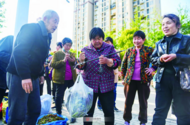又到太和香椿上市時