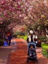 跳蚤市场、写真摄影、非遗传承……湖山原著樱花节火爆出圈！