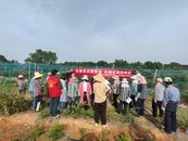 上下聯動織密蜱蟲防治網 衛健同行共筑健康墻 ——懷寧縣小市鎮開展蜱蟲病健康宣教活動 
