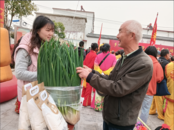 荊山鎮(zhèn)：“以蔥為媒”辦盛會，產(chǎn)業(yè)振興有底氣