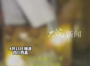 “全球最大蟑螂基地”在中国  220亿只“小强”每日消耗28吨食物  很多人都吃过它制成的药
