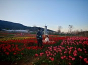 繁花競放中的蚌埠“春花經(jīng)濟(jì)”