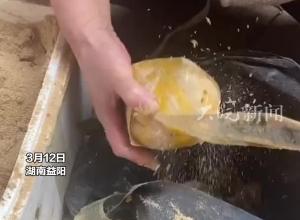 女子收到父亲从老家寄来的鹅蛋 “把柚子拆开 取肉 装蛋 密封 再放糠减震”  你永远想象不到父爱到底有多细致