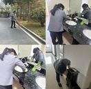 肥西縣城管局：愛國衛生月活動成效顯著 全方位打造健康環境