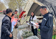 淮南市蘆集鎮(zhèn)：賦能代樓酥瓜 助力產(chǎn)業(yè)振興