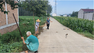 楊廟鎮樓上村：迎酷暑戰高溫,環境整治不停歇
