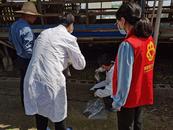 樅陽縣婦聯開展巾幗科技助農直通車活動  