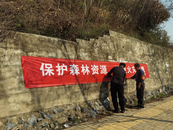 宜秀區大龍山鎮永林社區：“三向發力”助振興 蹄疾步穩謀新篇