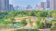 阜陽：推窗見綠 出門進園