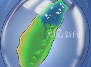 借壳毒台、空壳祸台、破壳毁台 东部战区发布动漫《壳》