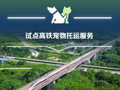 寵物貓狗可坐高鐵了！鐵路12306推出“寵物托運”功能