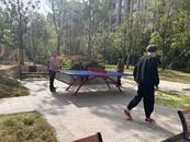 燕山鄉：“乒”出活力 點燃社區健身熱潮 