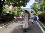 今年最大范圍高溫來襲 合肥六小時氣溫飆升15℃?