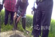 男子不慎墜入深井 安徽蕭縣一輔警倒掛救人  出井后累得跪倒在地