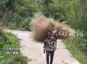 狗子看見奶奶回家，歡快上前迎接，急忙接過重物