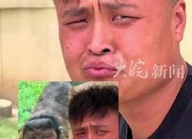 조ײϾƽ̨_Ϸʶ԰ ̽ú̾һһ̫ ÿڼá˵
