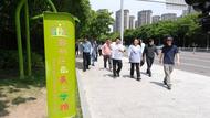 從“一條路”看一座城，全國主流媒體聚焦寧波“七彩惠民路”