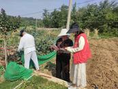 懷寧高河：移風易俗宣傳入民心