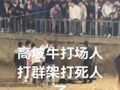 贵州一斗牛比赛现场冲突致人死亡？部门辟谣：不属实