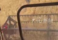 安徽26歲女生跨省 幫困難戶免費(fèi)收麥500畝 農(nóng)戶們送來一車斗吃的喝的
