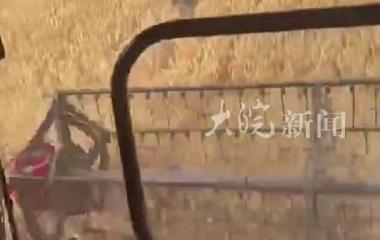 安徽26岁女生跨省 帮困难户免费收麦500亩 农户们送来一车斗吃的喝的
