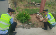 執(zhí)法三大隊加強道路巡查力度，守護轄區(qū)道路安全暢通