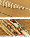 安徽農(nóng)墾龍亢農(nóng)場：全面打響夏收攻堅戰(zhàn)