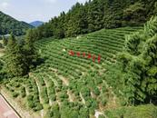 宜秀區(qū)五橫鄉(xiāng)楊亭村：三個“聚焦”擘畫黨建引領(lǐng)和美鄉(xiāng)村新圖景