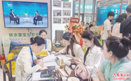 六安企業驚艷亮相深圳文博會