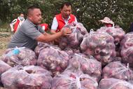 20多亩洋葱滞销，阜南众义工帮忙采收销售